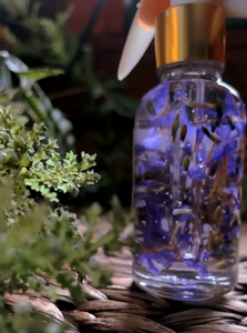 Wild Lavender Body Oil