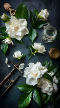 Load image into Gallery viewer, GARDENIA PERFUME - Beautiful Gardenia Perfume - Heavenly Scent of Wild Gardenia
