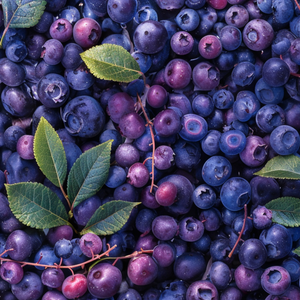 BLUEBERRY BODY SCRUB