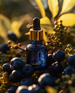 BLUEBERRY BODY OIL - Luxuriously silky with the heavenly scent of Fresh Juicy Blueberries