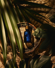 Load image into Gallery viewer, BLUEBERRY BODY OIL - Luxuriously silky with the heavenly scent of Fresh Juicy Blueberries
